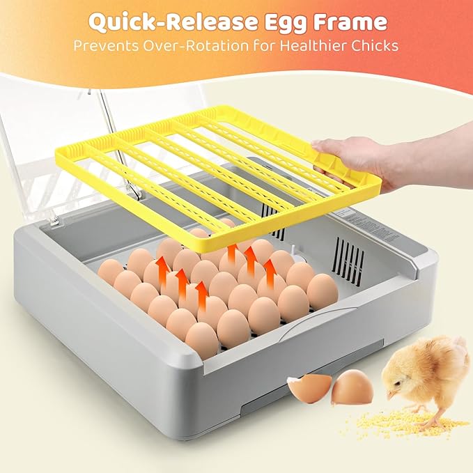 36 Eggs Incubator for Hatching Chicks with Automatic Turner Temperature & Humidity Control, Multifunctional Ultra-Clear Panoramic View with Hatch Days & Egg Candler for Chicken, Duck, Goose, Bird