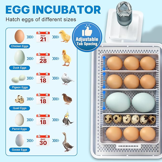 Incubators for Hatching Eggs 15-35 Eggs Incubator with Automatic Egg Turning and Temperature Humidity Control Display LED Candler Poultry Incubator for Hatching Chicken Duck and Quail Incubator (Blue)