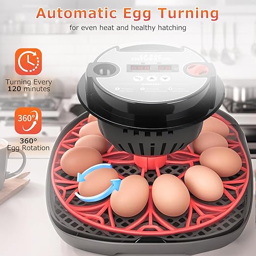 12 Egg Incubators for Hatching Eggs Automatic Egg Incubator with Temperature Control Humidity Control and Display for Chicken Duck Quail Eggs Auto Turner, Black red
