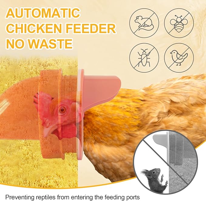 Automatic Chicken Feeder Large Capacity 85lbs Metal Chicken Feeder with Latch & Handle for Chickens, Geese, Ducks, Turkeys, Quails, Weatherproof (6-Port)