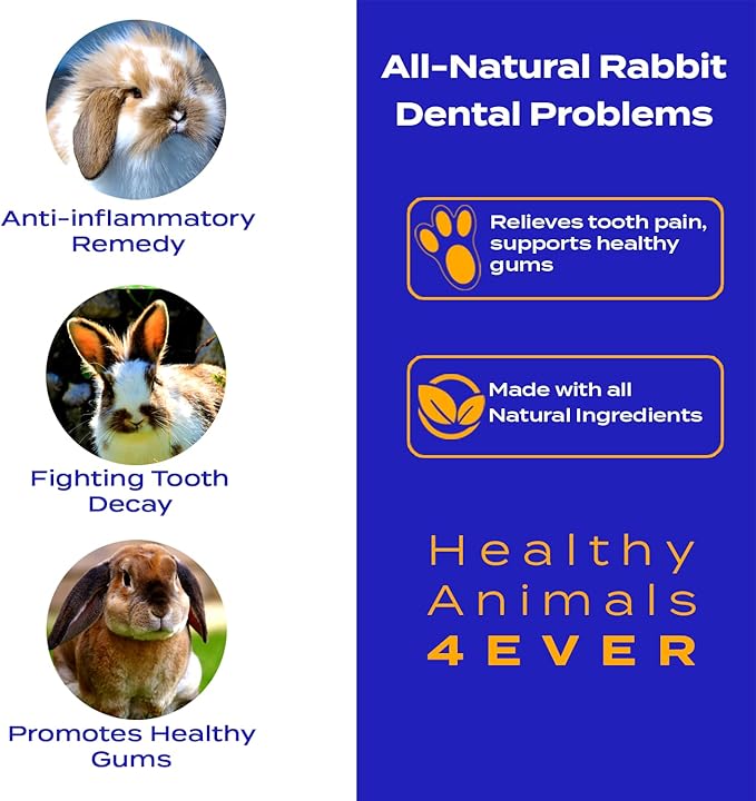 HealthyAnimals4Ever HA4E - Rabbit Dental Problems Treatment - Preventive Care for Dental Issues & Overgrown Teeth - Promotes Oral Health - Natural Homeopathic Tablets - 300 Count