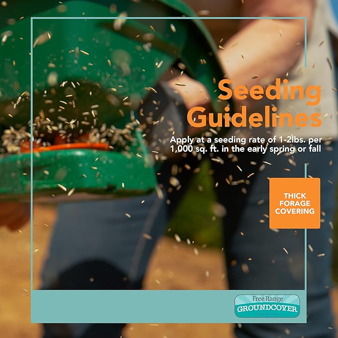 Barenbrug Free Range GroundCover Forage Seed Mixture - Ideal for Chickens, Game Birds, Goats, and Sheep - 3 lb Bag, Blue