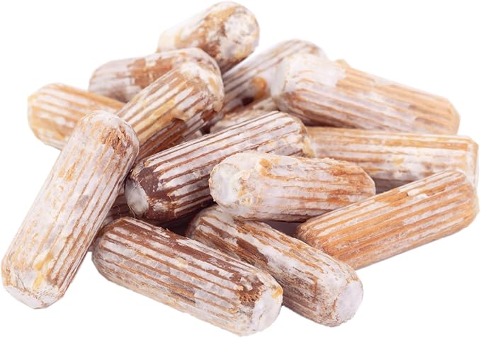 North Spore Lions' Mane Mushroom Plugs for Logs (500 Count) | Premium Quality Mushroom Plug Spawn | Handmade in Maine, USA | Grow Gourmet Mushrooms Outdoors on Logs