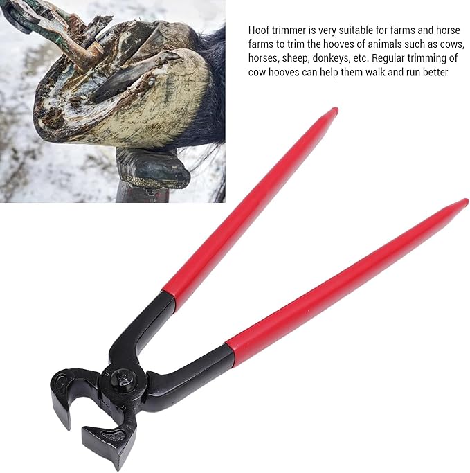 Horse Hoof Nipper 2in Opening Steel Hoof Trimmer Horseshoe Pliers for Equestrian Clubs Horse Owners Farmers