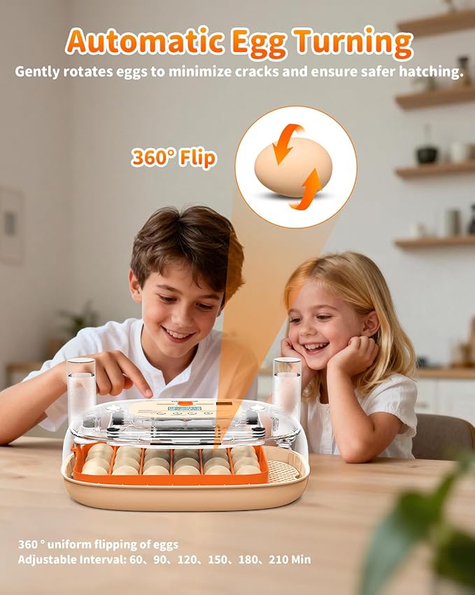Egg Incubator for 24 Chicken Eggs with Automatic Turner, Digital Temperature Control & Humidity Display, Candler, Poultry Hatcher for Chicken, Duck, Quail, Birds (Orange)