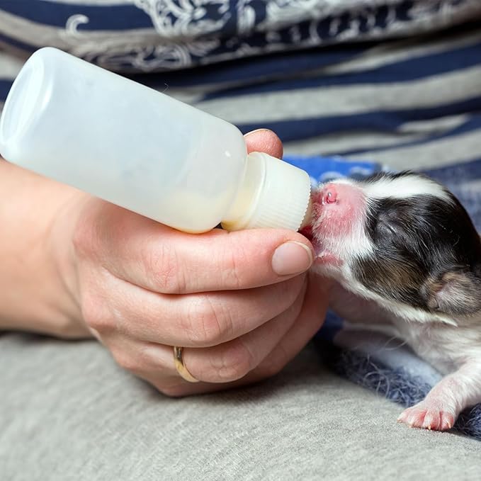 GKYZBB 4Pack 120ML pet Puppy Bottles for Nursing,Kitten Bottle Feeding Kit Nipple for Newborn Kitten Puppy Rabbits Squirrel Animals