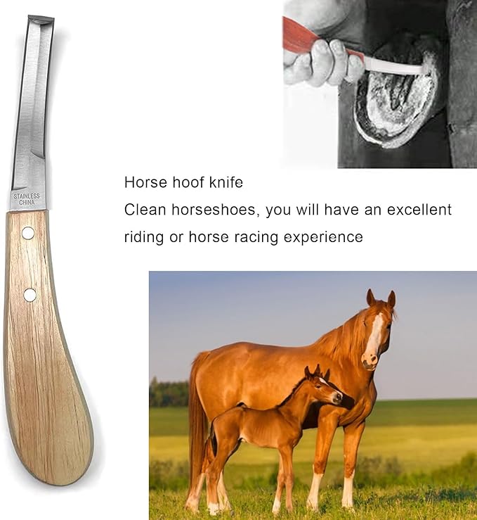 Farrier Tools,8 inch Farrier Tool Kits （6 Piece） Goat Hoof Trimmers Mini Rasp Hoof File Goat Pig Equine Metal Shears Professional Farriers Hoof Nipper Cutter Handle Knife Goat Supplies