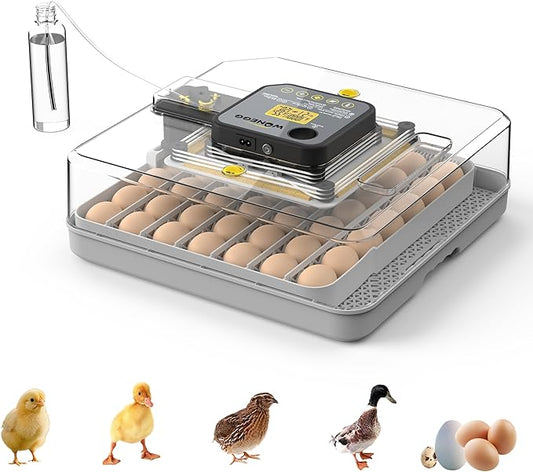 Egg Incubator for Hatching 48 Chicken, Duck, Quail & Goose Eggs – Automatic Egg Turner, Humidity & Temperature Control, Built-in LED Candler, Auto Water Refill, 360° Clear View Digital Poultry Hatcher