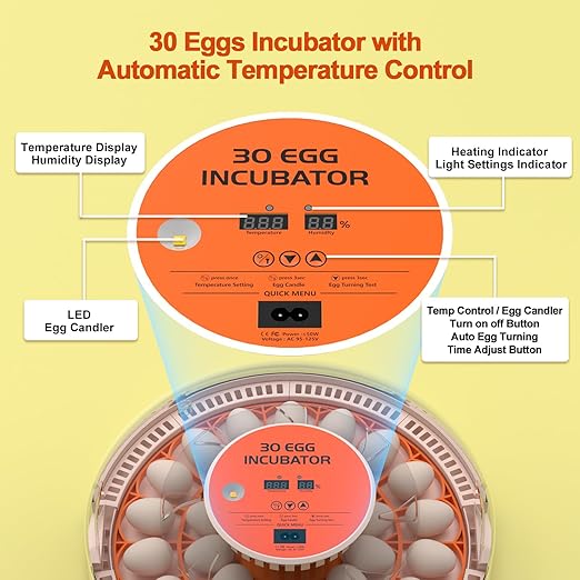 30 Egg Incubators for Hatching Chicken/Quail/Pigeon/Birds Eggs, Incubator with Automatic Egg Turning/Temperature Control/Humidity Display/Egg Candler/360°View/Fully Automatic, for Beginner/Farm/Home