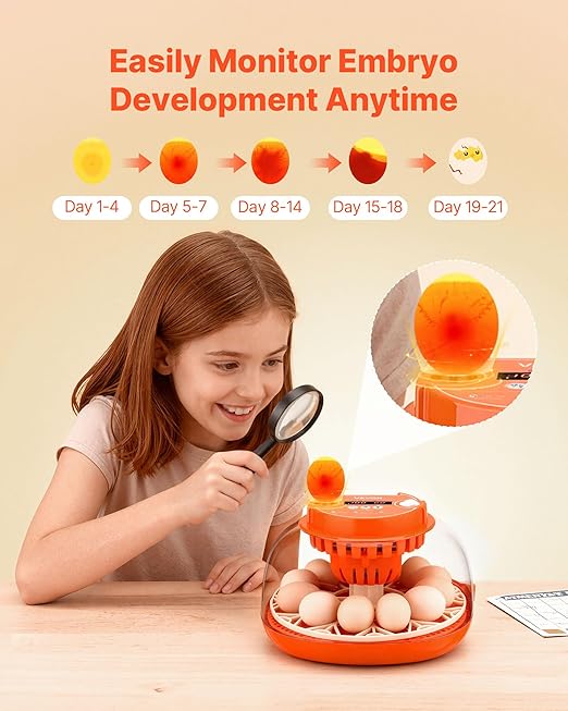 VEVOR 12 Egg Incubator, Automatic Egg Turner with LED Candler, Temperature & Humidity Control, 360° View Clear Window, Poultry Eggs Incubator for Home Farm, Hatching Chicks Ducks Goose Quail