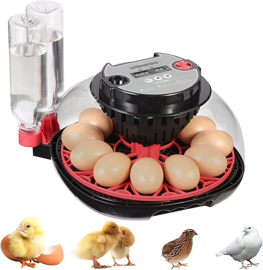 12 Egg Incubator with Automatic Turning, Humidity Control, LED Egg Candler, and Auto Water Addition, for Hatching Chicken, Goose, Duck, Quail, Pigeon (12 Egg Incubator Pro)