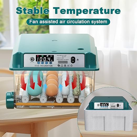 Incubators for Hatching Eggs, 12-16 Eggs Incubator with Automatic Egg Turning and Automatic Humidification, Incubator for Chicken Eggs, Quail Egg