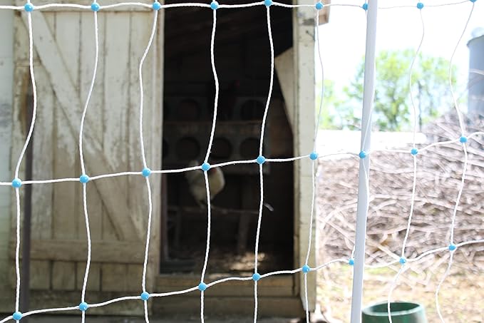 Starkline 48" x 164' Electric Poultry Netting with Double Spiked Fiberglass Posts | Electric Fence for Chickens in Backyards, Homesteads, Farms and Ranches