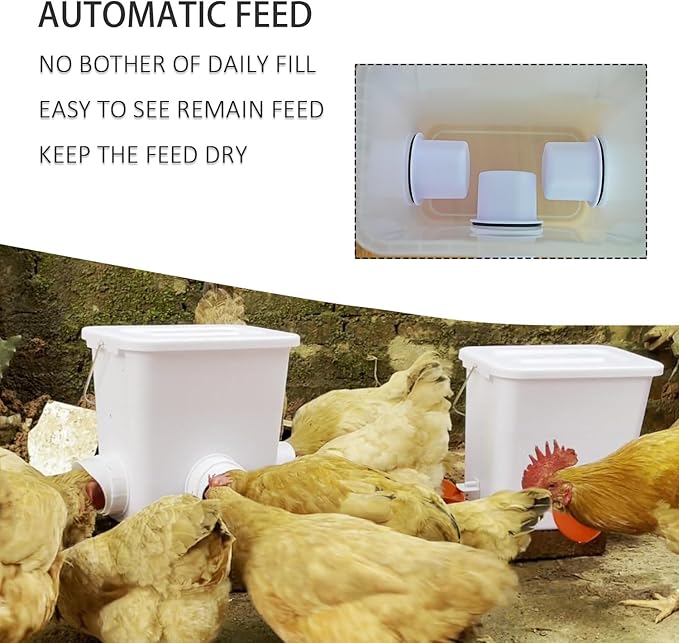 Automatic Chicken Feeder and Waterer Set Chicken Feed Bucket with 3 Feeders Ports Poultry Waterer Water Cups