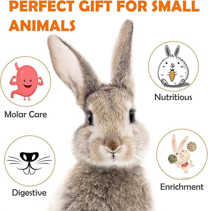 Sofier 16Pcs Timothy Hay Treats - Natural Chews for Teeth - Handmade Rabbit, Chinchilla, Gerbil, Rat, Hamster Toys - Bunny & Guinea Pig