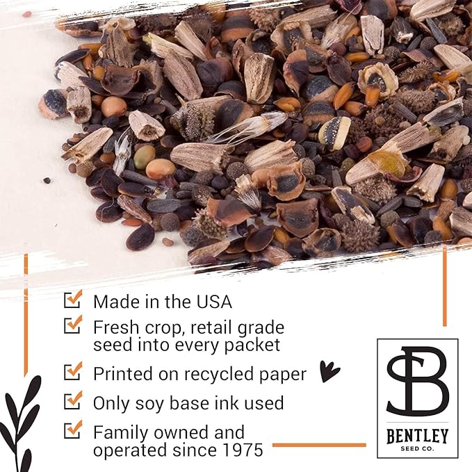Bentley Seed Co. Thank You Packet - Butterfly Pollinator Mix - 25 Seed Packets - Perfect Eco-Friendly Thank You Gift - Non GMO Seeds, Purple