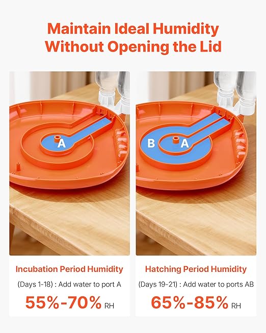 VEVOR 12 Egg Incubator, Automatic Egg Turner with LED Candler, Temperature & Humidity Control, 360° View Clear Window, Poultry Eggs Incubator for Home Farm, Hatching Chicks Ducks Goose Quail