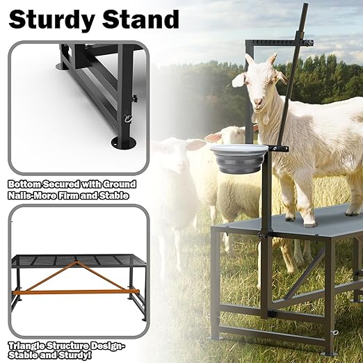 Goat Milking Stand with Feed Bin, Stand for Goat Milk and Shepp Trimming Hooves, with Adjustable Head Piece and Legs, Metal Black Use for Small Goat and Sheep, 400 Lbs