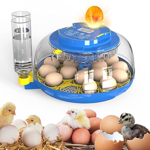 18-Egg 360° Panoramic Egg Incubator with Automatic Egg Turning and Humidity Control- Perfect for Hatching Chickens, Ducks, Quail & Other Birds (Blue)
