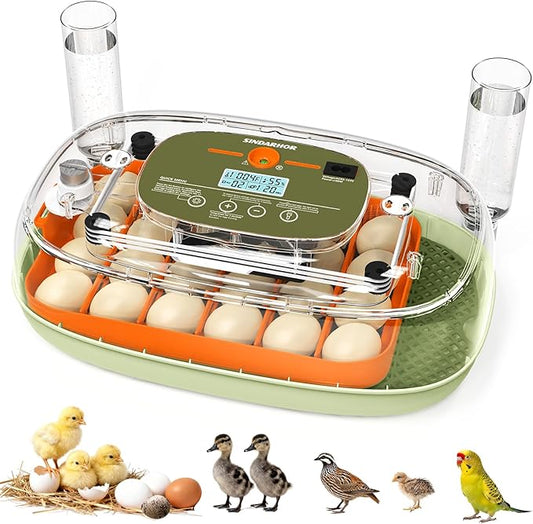 Egg Incubator for 24 Chicken Eggs with Automatic Turner, Digital Temperature Control & Humidity Display, Candler, Poultry Hatcher for Chicken, Duck, Quail, Birds (Green)