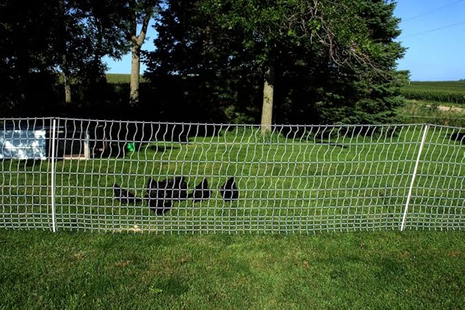 Starkline Electric Poultry Netting 48" x 82' Electric Poultry Netting w/Double Spiked Fiberglass Posts (12/48/3) Electric Fence for Chickens in Backyards, on Homesteads, Farms and Ranches
