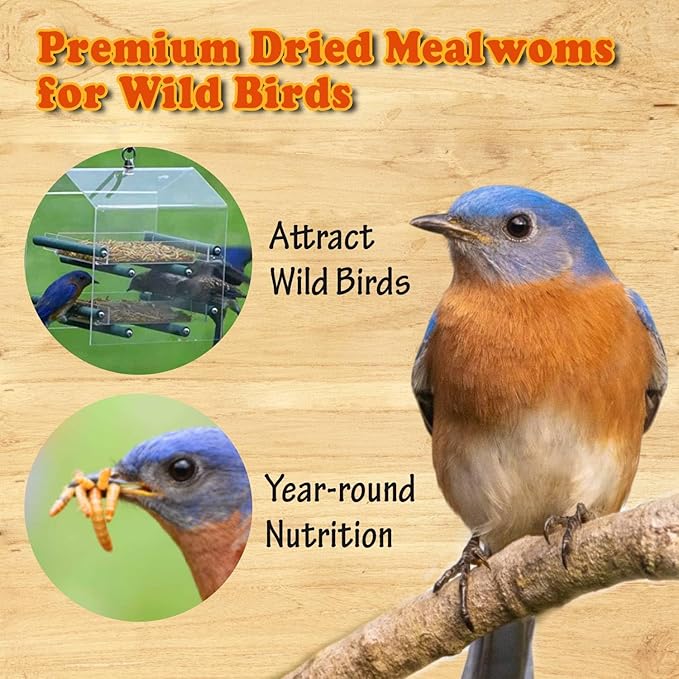 Amzey Dried Mealworms- 3.5 oz(2 Pack)- High Protein Non GMO Mealworms - Great for Turtle Food, Bird Food, Cockatiel Food, Lizard Food, Snake Food, Iguana Food, Sulcata Tortoise Diet- 3.5oz (2 Pack)