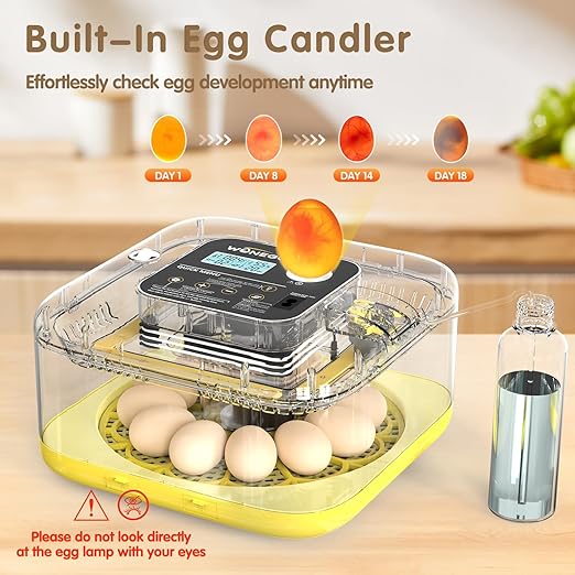 12 Egg Incubator with Automatic Turning, Temperature and Humidity Control, LED Egg Candler, and Auto Water Addition, for Hatching Chicken, Goose, Duck, Quail, Pigeon, and Turkey Eggs