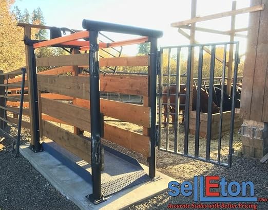 SellEton SL-929 Livestock & Cattle Alleyway Scale - Animal Weighing Equipment with Two Ramps with 5000 lbs x 1 lb