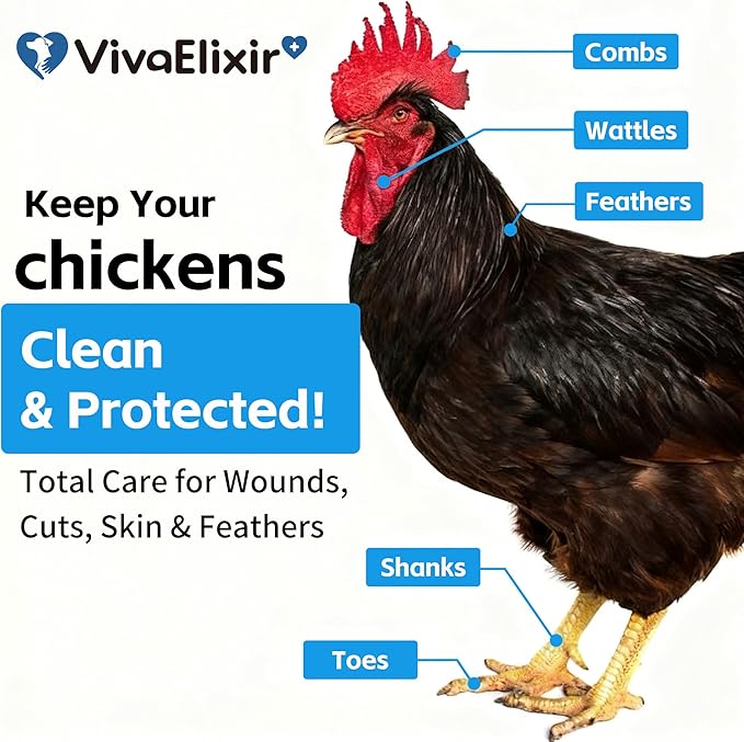 Chicken Wound Spray-Animal Wound Spray- Poultry Care Spray – Healing Aid and Skin Repair for Chicken Wounds, Pecking Injuries, Bumblefoot, Vent Prolapses, Cuts, Burns – USA Made. 300ml