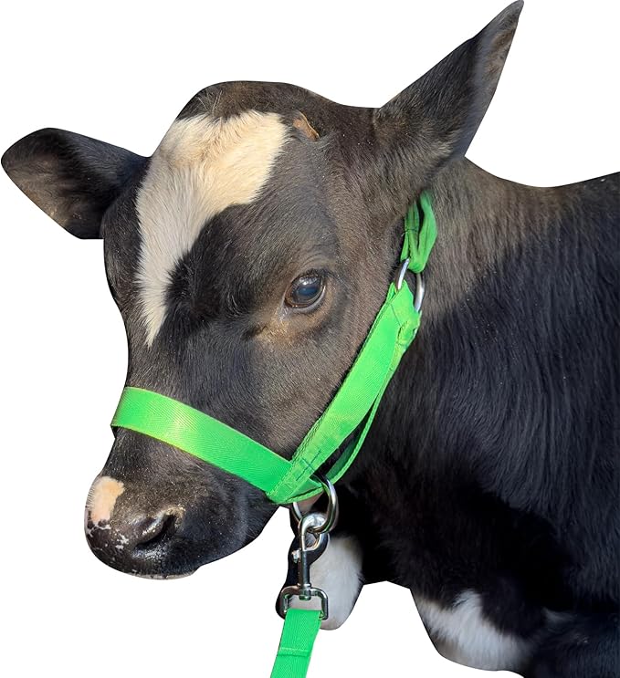 perixir Cow Halter Cattle Halters Calf Halter with Leading Rope，Adjustable Nylon Livestock Cattle Halter，for Miniature Horse Donkey Goat Foal