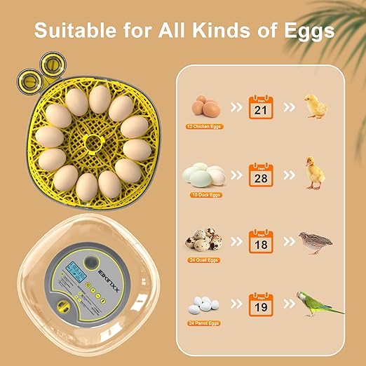 Incubator for Hatching Eggs-12 Egg Capacity, Automatic Egg Turner, Temperature & Humidity Control, 360° Viewing for Chicken, Duck and Quail Eggs
