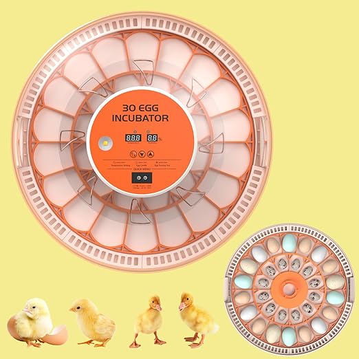 30 Egg Incubators for Hatching Chicken/Quail/Pigeon/Birds Eggs, Incubator with Automatic Egg Turning/Temperature Control/Humidity Display/Egg Candler/360°View/Fully Automatic, for Beginner/Farm/Home