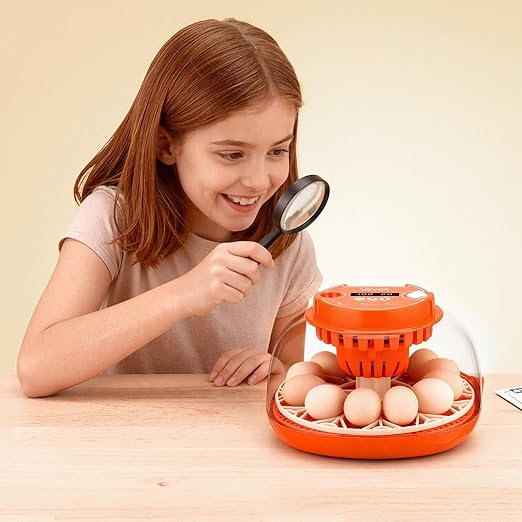 VEVOR 12 Egg Incubator, Automatic Egg Turner with LED Candler, Temperature & Humidity Control, 360° View Clear Window, Poultry Eggs Incubator for Home Farm, Hatching Chicks Ducks Goose Quail