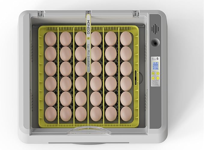 Egg Incubator for Hatching Chicks, 36 Eggs Automatic Turner with Temperature & Humidity Control, Multifunctional Ultra-Clear Panoramic View with Hatch Days & Egg Candler for Chicken, Duck, Goose, Bird