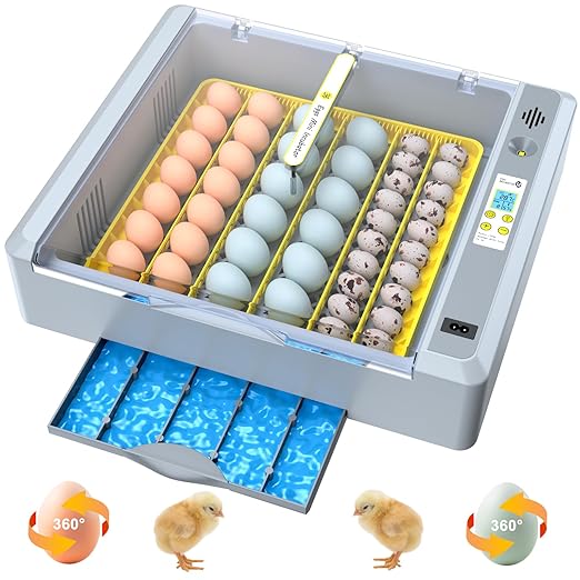 36 Eggs Incubator for Hatching Chicken/Goose/Quail/Duck/Turkey Eggs, 360° View Incubator with Automatic Egg Turning/Humidity Control/Low Humidity Alarm/Adjustable Tray, for Beginner/Farm/Teaching/Home