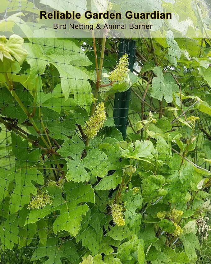 KLEWEE Bird Netting, 13 x 50 FT Heavy Duty Garden Netting for Protect Fruit Trees, Plants and Vegetables from Birds, Deer, Squirrels and Other Animals
