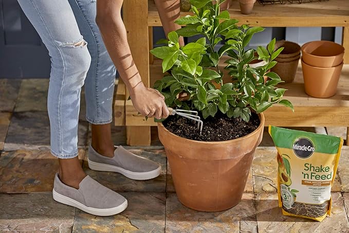 Miracle-Gro Shake 'n Feed Citrus, Avocado and Mango Plant Food 8 lbs.