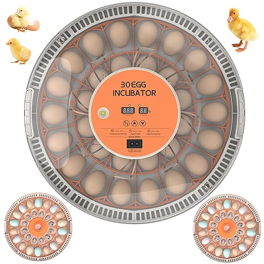 30 Egg Incubators for Hatching Chicken/Quail/Pigeon/Birds Eggs, Incubator with Automatic Egg Turning/Temperature Control/Humidity Display/Egg Candler/360°View/Fully Automatic, for Beginner/Farm/Home