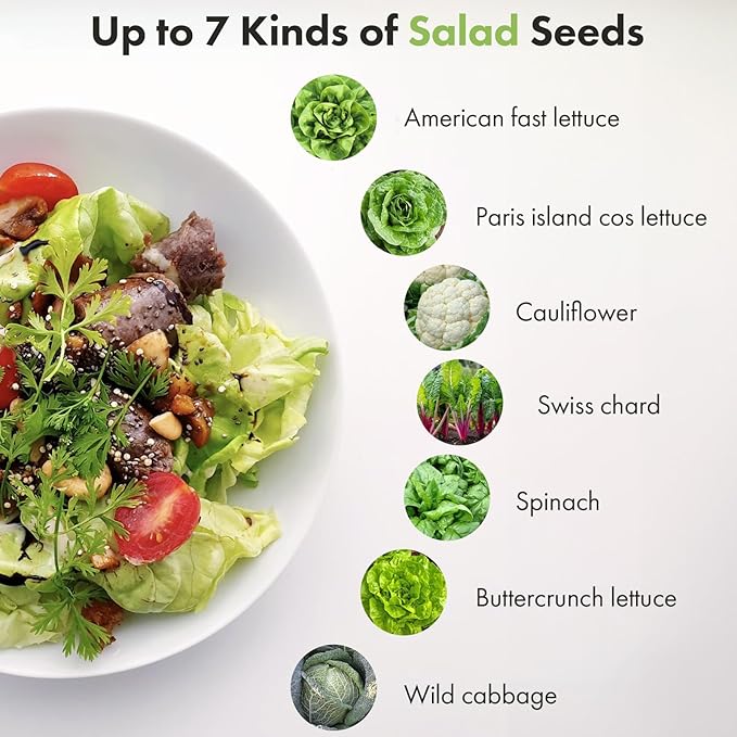 LYKOCLEAN Salad Buttercrunch Lettuce Seeds for AeroGarden, iDOO, Ahopegarden Hydroponics Growing System, 7-pods, 350+ Seeds (Include Spinach, American Fast Lettuce,Paris Island Lettuce, Cauliflower)