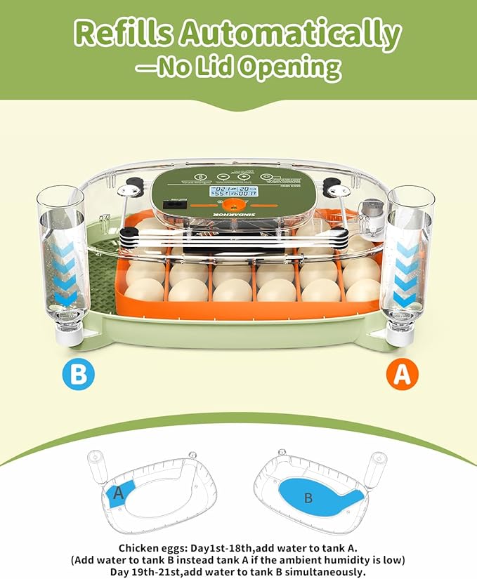 Egg Incubator for 24 Chicken Eggs with Automatic Turner, Digital Temperature Control & Humidity Display, Candler, Poultry Hatcher for Chicken, Duck, Quail, Birds (Green)