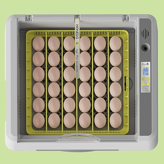 36 Eggs Incubator for Hatching Chicken/Goose/Quail/Duck/Turkey Eggs, 360° View Incubator with Automatic Egg Turning/Humidity Control/Low Humidity Alarm/Adjustable Tray, for Beginner/Farm/Teaching/Home