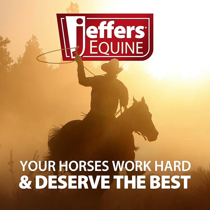 Jeffers Expression Top Loading Hay Bag for Horses & Livestock – Durable 600 Denier, Water Resistant Hay Feeder with Mesh Bottom for Stall, Trailer & Travel – Horse Feeding Supplies - Thunderbird