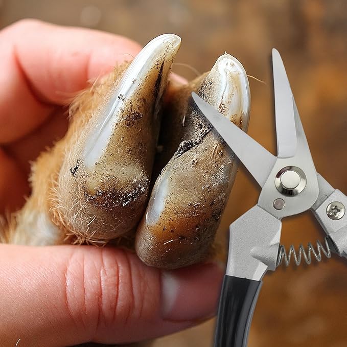 Goat Hoof Trimmers and Farrier Shears – Versatile Hoof, Wire, and Pipe Cutting Tool for Livestock – Silver (2pack)