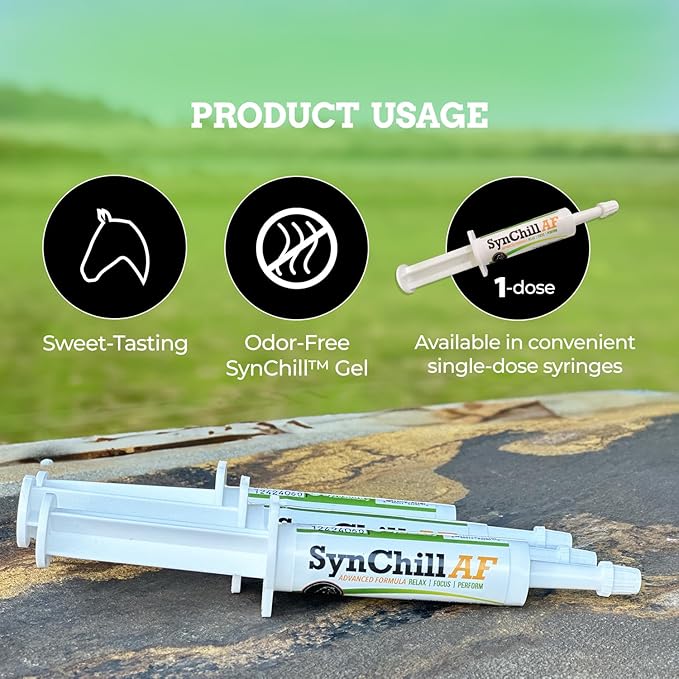 SynChill AF Behavioral Support Gel for Horses – Single Serving – Advanced L-THEANINE-Free Formula, 100% Natural Supplement, Composure, Focus & Confidence Support for Horses - 12 Pack