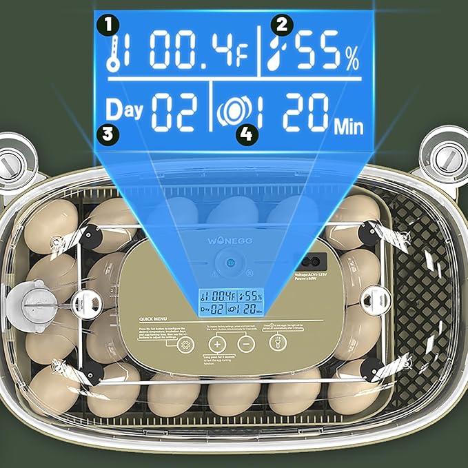 24 Egg Incubator for Hatching with Automatic Turner, Smart Temperature & Humidity Control, 360° Viewing, Egg Candler, Auto Water Refill, Ideal for Chicken, Duck, Farm or Home Use (24 Egg-Green)