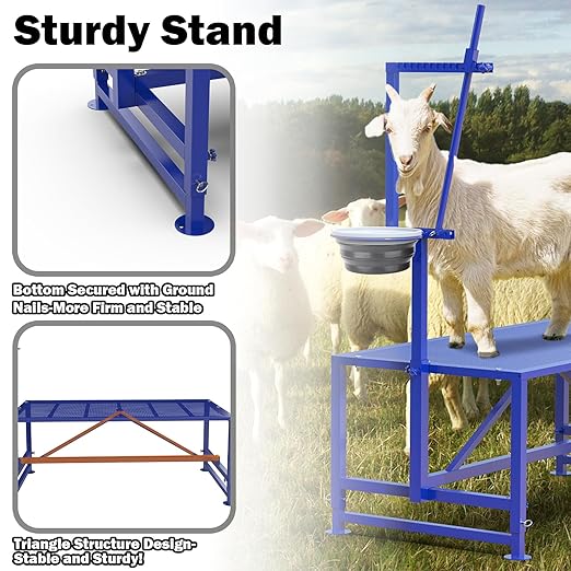 Goat Milking Stand with Feeder, Goat Stand for Trimming Hooves, with Adjustable Head Piece and Legs, Metal Blue Use for Livestock, Large Size 600 Lbs