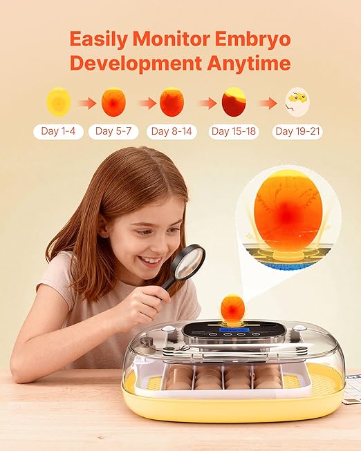 VEVOR 24 Egg Incubator, Automatic Egg Turner with LED Candler, Temperature & Humidity Control, 360° View Clear Window, Auto Water Refill, Poultry Eggs Incubators for Hatching Chicks Ducks Goose Quail