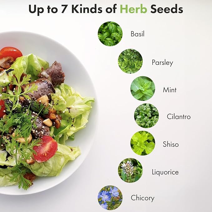 LYKOCLEAN Herb Pod for AeroGarden, idoo, Ahopegarden Hydroponics, 350+, Include Basil, Parsley, Mint, Cilantro(12-pods)