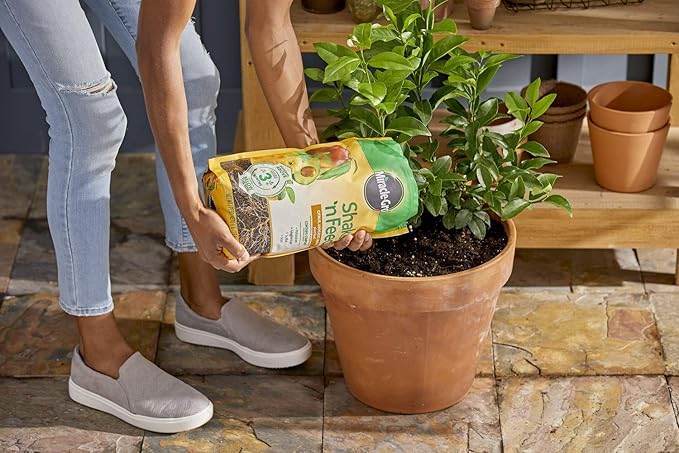Miracle-Gro Shake 'n Feed Citrus, Avocado and Mango Plant Food 8 lbs.