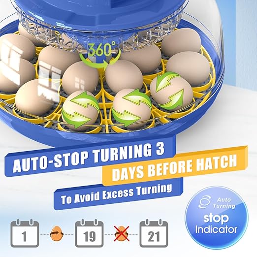 18 Eggs Incubator for Hatching Eggs, Temp and Humidity Control, 360°View Auto Water Adding, Egg Candler Egg Turning Countdown Hatching Days Display Incubators (23-AGREEN) (18-Blue)